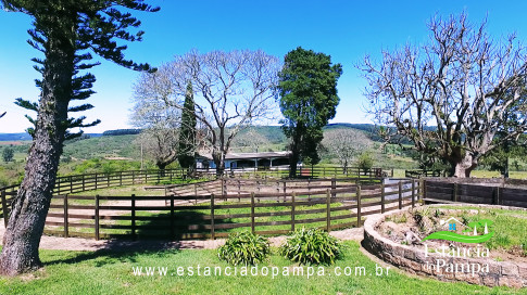 VAI ATE MANGUEIRA OVELHAS.00_05_35_12.Quadro072_3da33b63bb0357a993787e8d976bded9a6393469.jpg